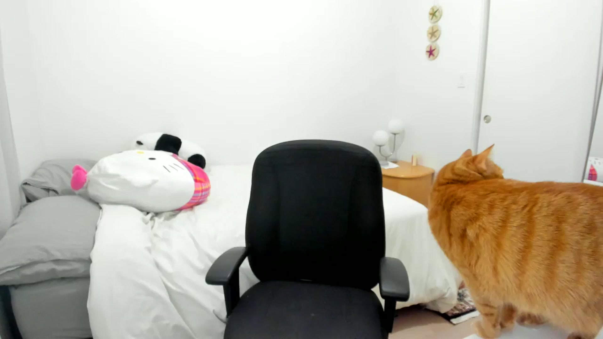 Gallery image thumbnail from BabieLee's myfreecams stream on, 04/02/2025, 23:31 image 12 of 20