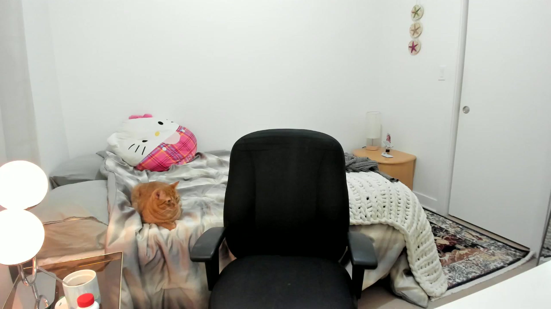Gallery image thumbnail from BabieLee's myfreecams stream on, 10/25/2025, 02:45 image 3 of 20