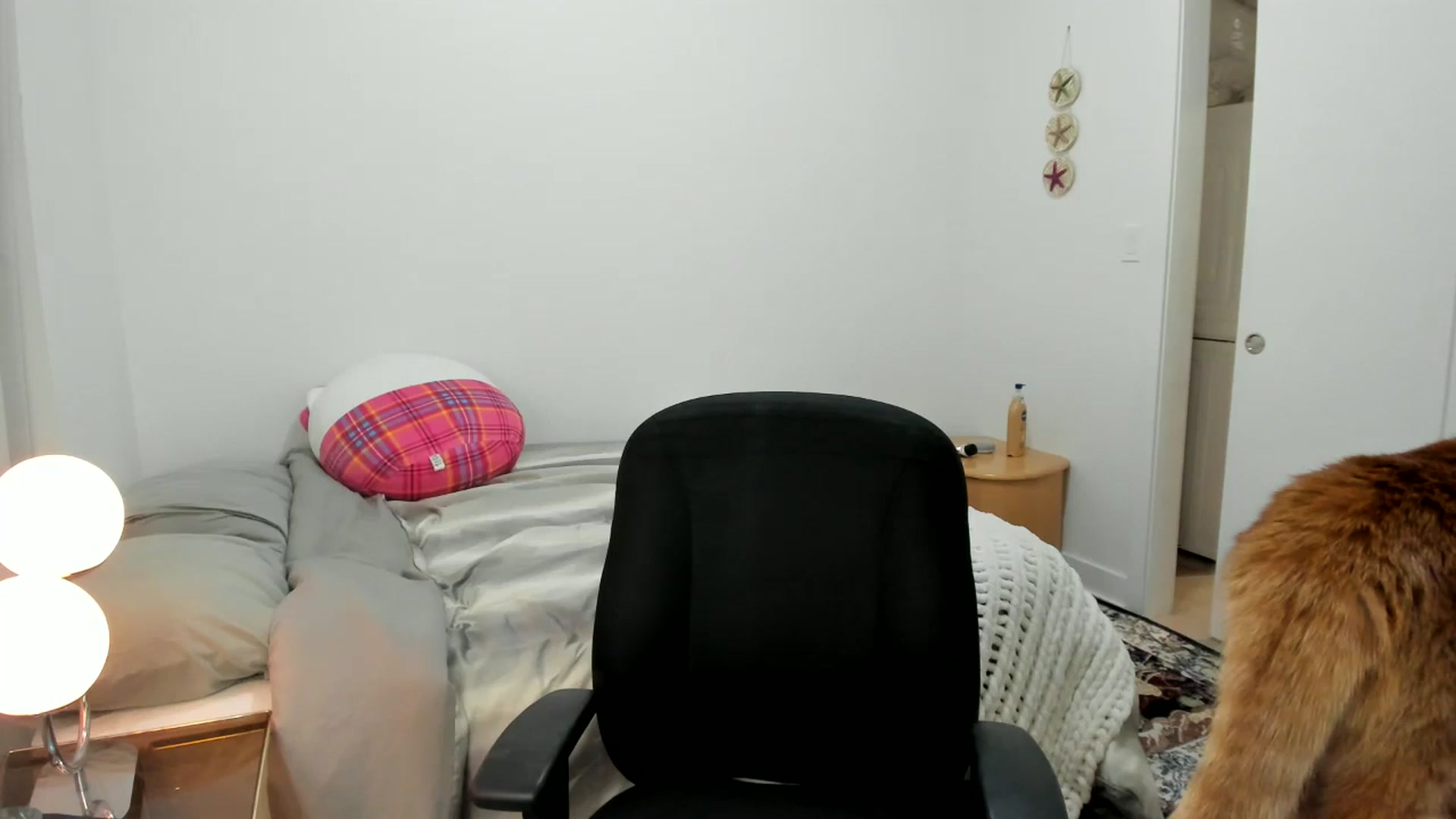 Gallery image thumbnail from BabieLee's myfreecams stream on, 11/10/2025, 23:31 image 9 of 20