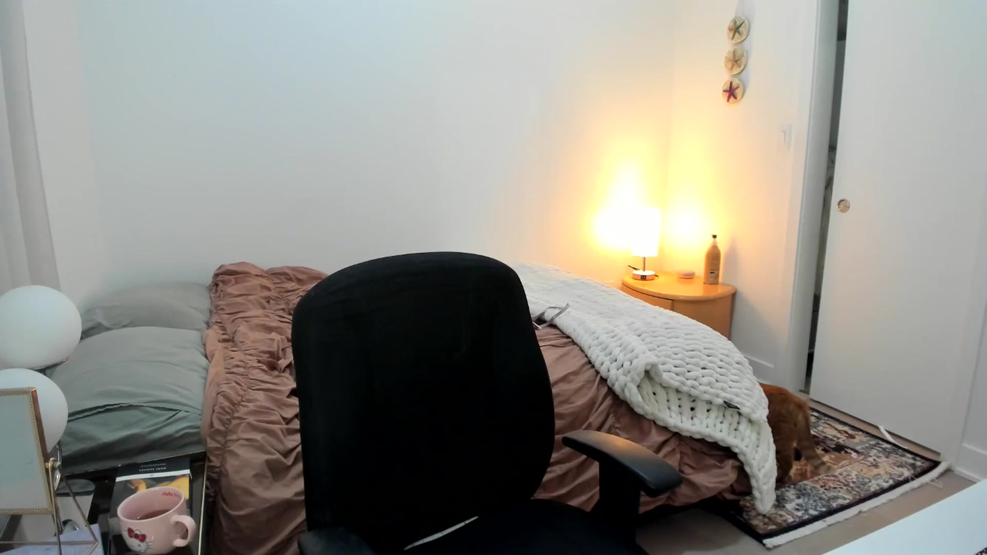 Gallery image thumbnail from BabieLee's myfreecams stream on, 12/15/2025, 05:29 image 13 of 20