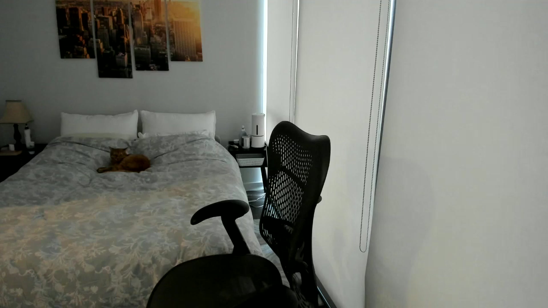 Gallery image thumbnail from BabieLee's myfreecams stream on, 02/10/2026, 22:43 image 12 of 20