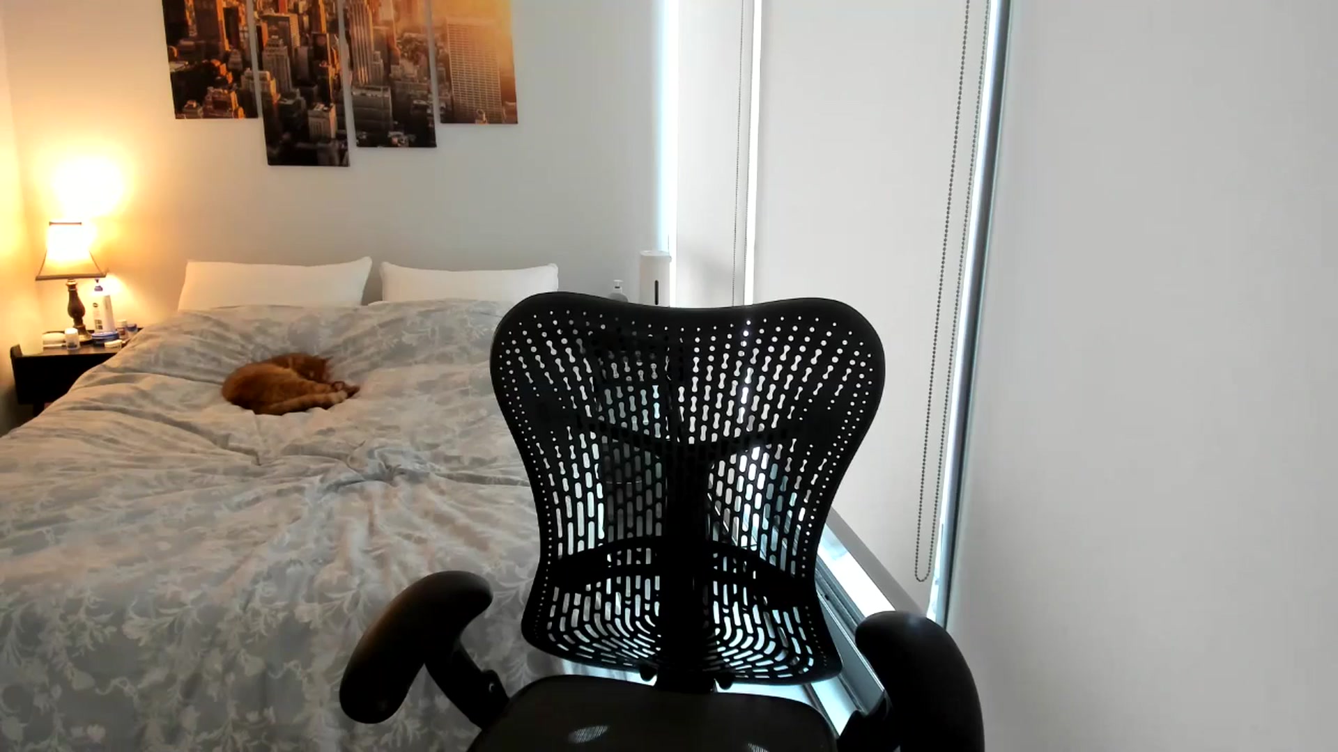 Gallery image thumbnail from BabieLee's myfreecams stream on, 02/24/2026, 21:32 image 18 of 20