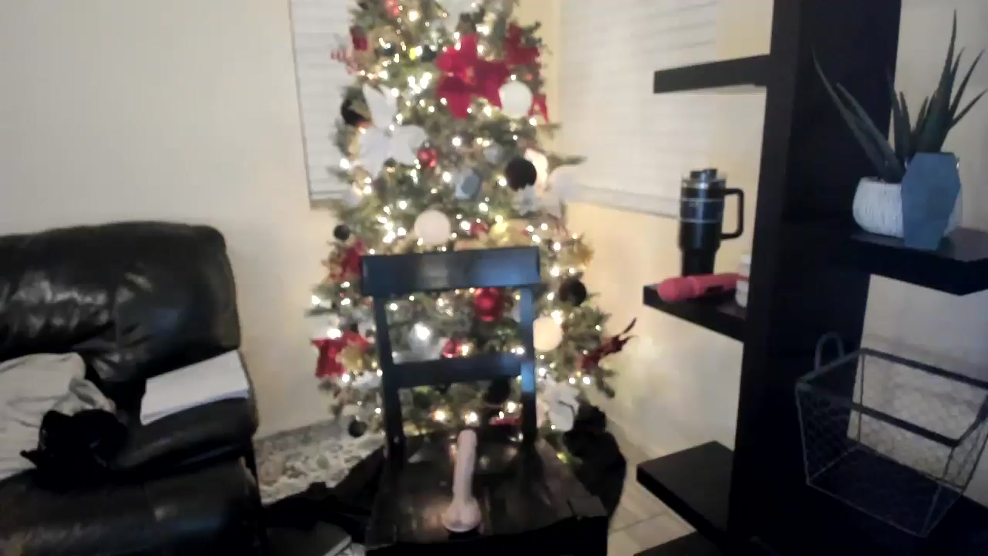 Gallery image thumbnail from Babsbunny's myfreecams stream on, 01/08/2026, 09:37 image 10 of 20