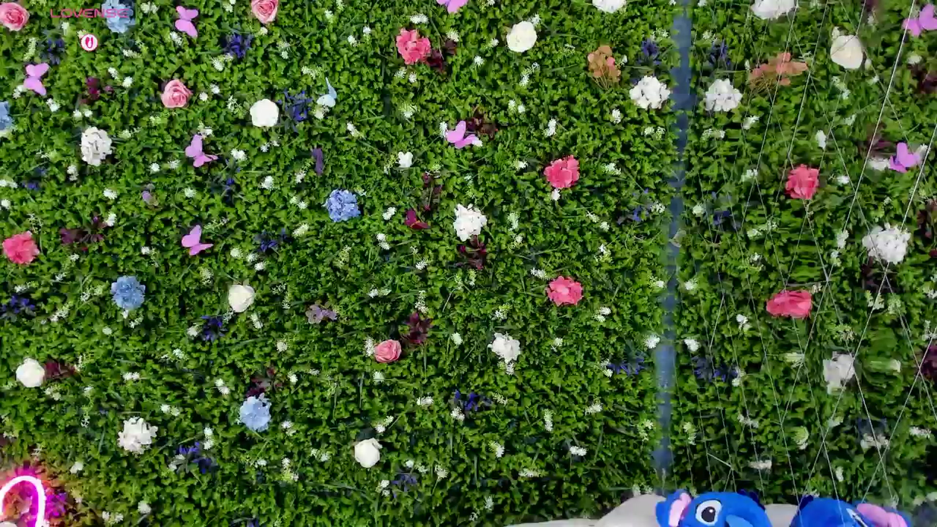Gallery image thumbnail from BabyAylin's myfreecams stream on, 08/05/2025, 12:10 image 13 of 20