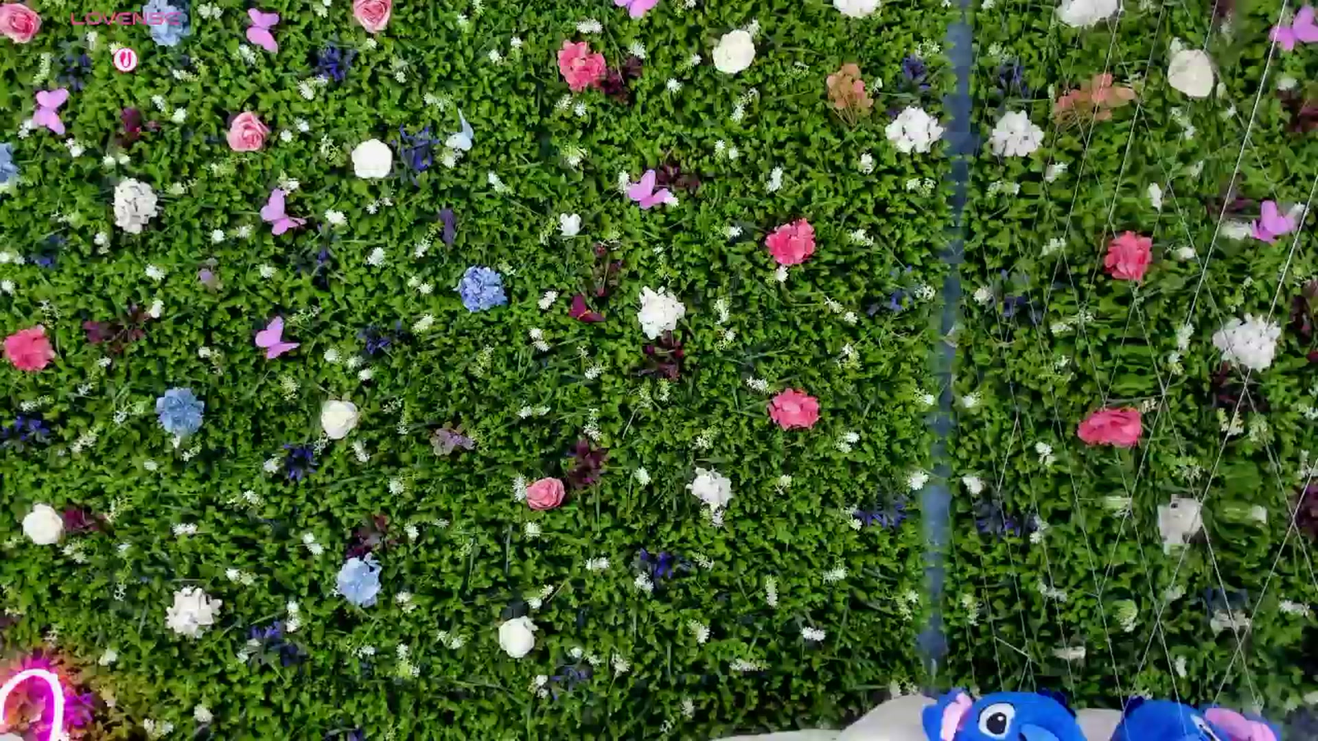 Gallery image thumbnail from BabyAylin's myfreecams stream on, 08/05/2025, 12:10 image 14 of 20