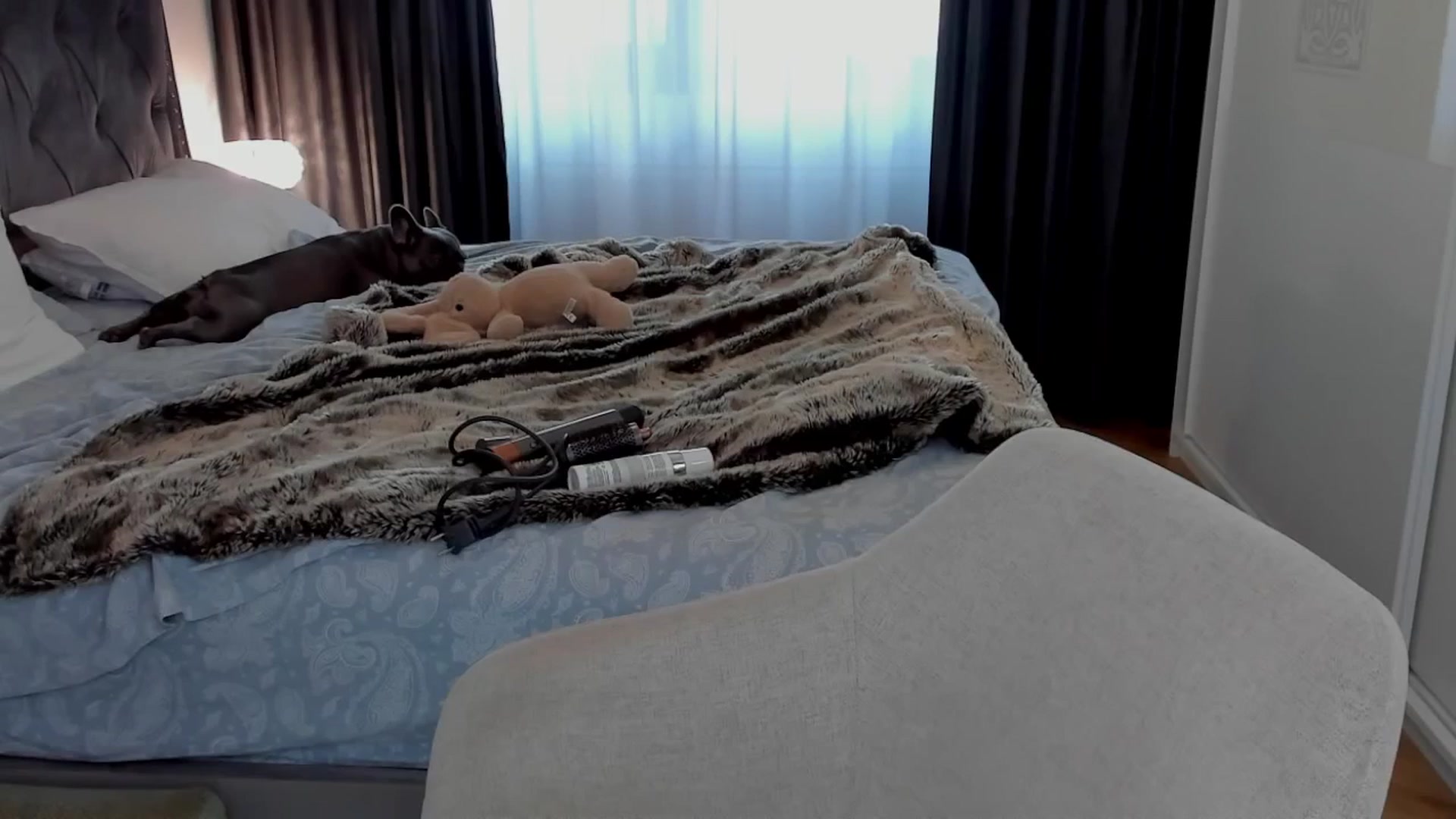 Gallery image thumbnail from BabyGyrll's myfreecams stream on, 09/23/2025, 14:33 image 12 of 20