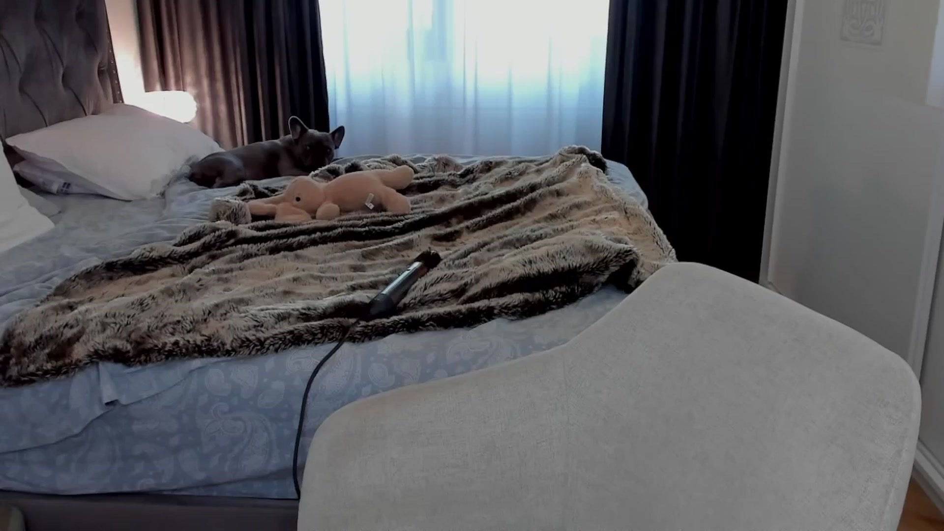 Gallery image thumbnail from BabyGyrll's myfreecams stream on, 09/23/2025, 14:33 image 17 of 20