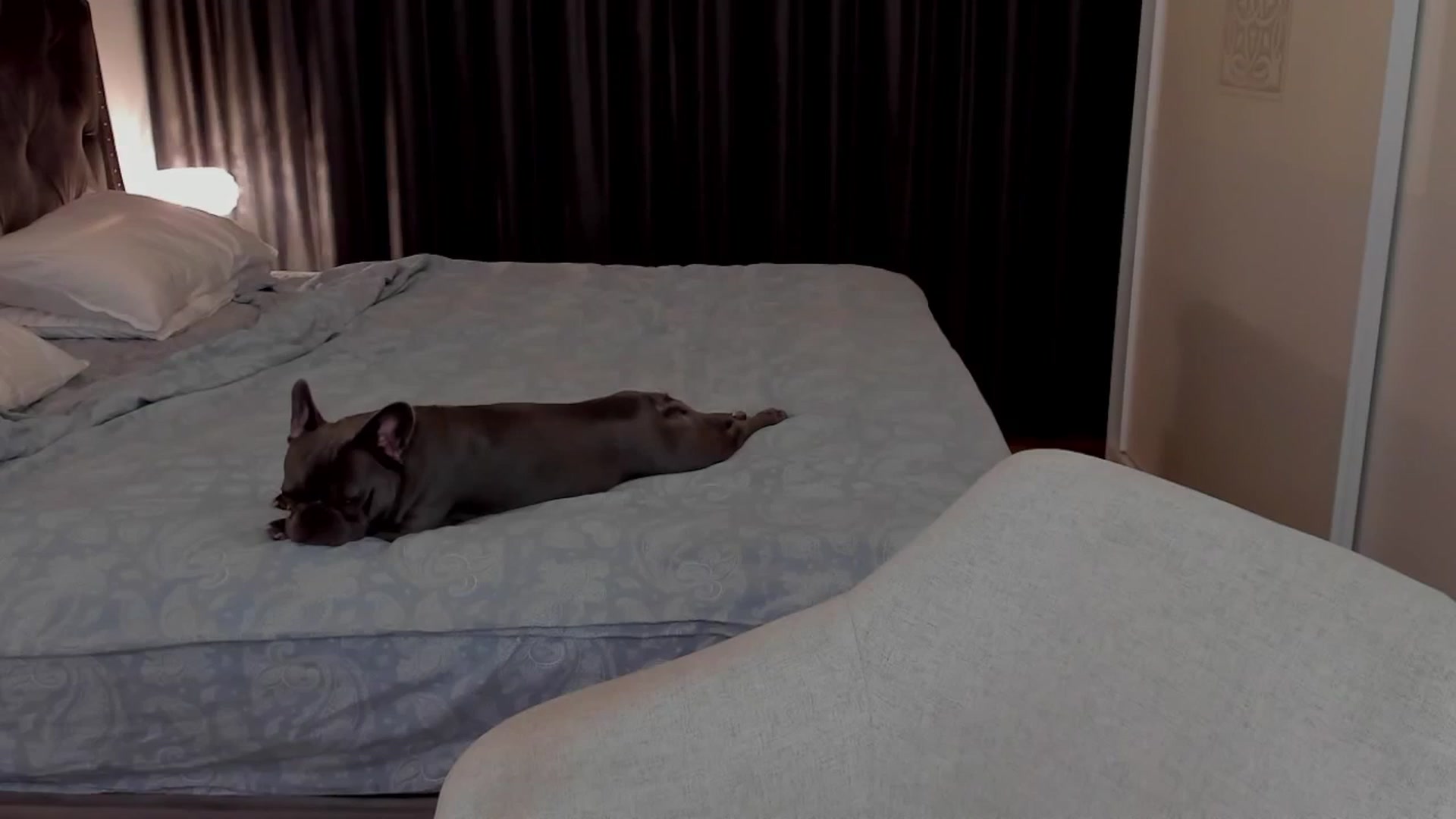 Gallery image thumbnail from BabyGyrll's myfreecams stream on, 09/25/2025, 19:50 image 6 of 20