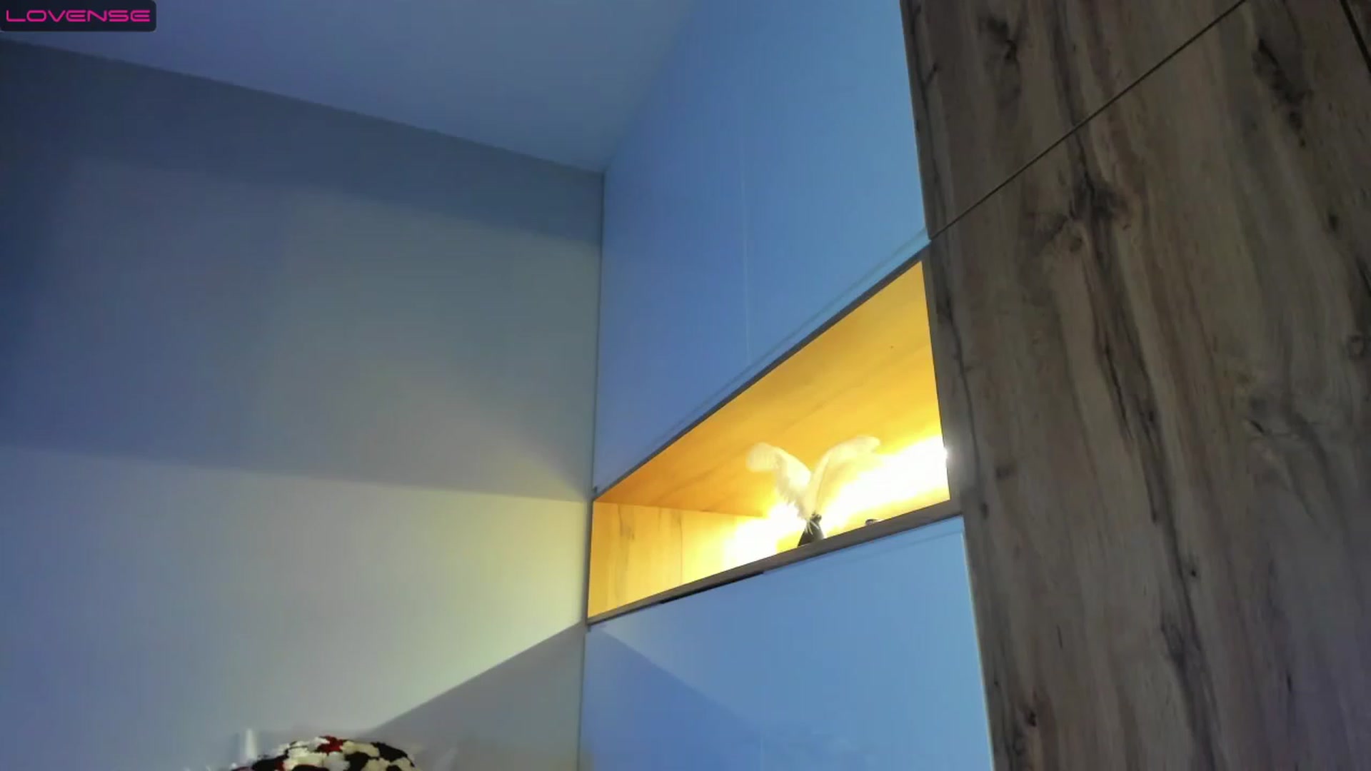 Gallery image thumbnail from BabyKate__'s myfreecams stream on, 02/17/2023, 19:47 image 11 of 20