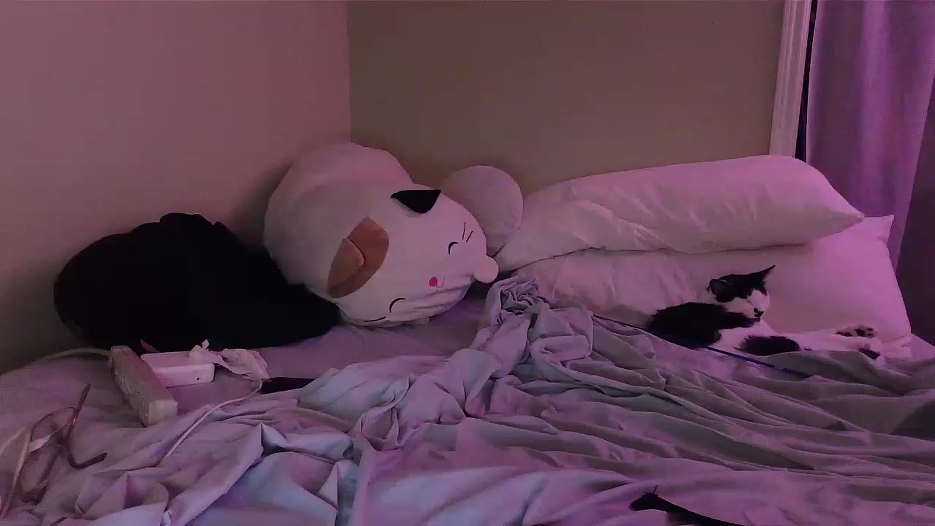 Gallery image thumbnail from BabyLula's myfreecams stream on, 03/09/2023, 06:03 image 15 of 20