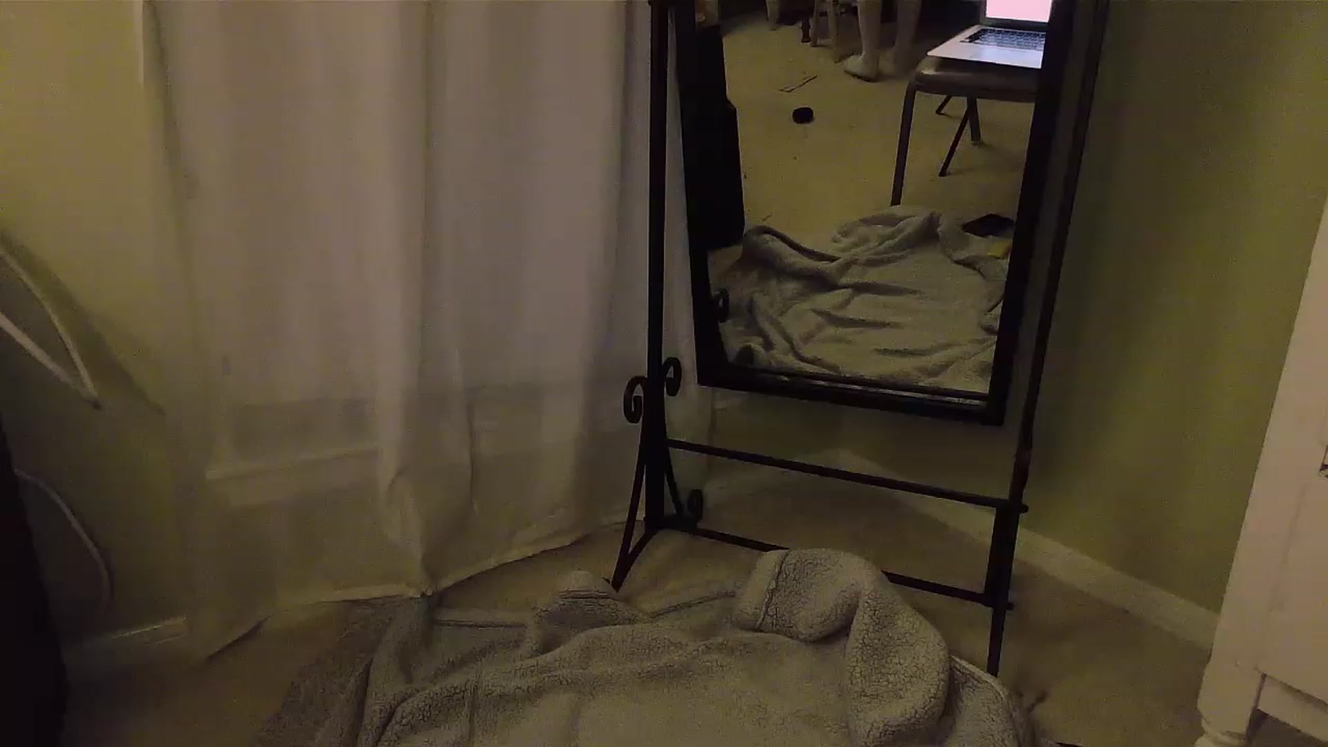Gallery image thumbnail from BabyLula's myfreecams stream on, 04/21/2023, 04:58 image 1 of 20