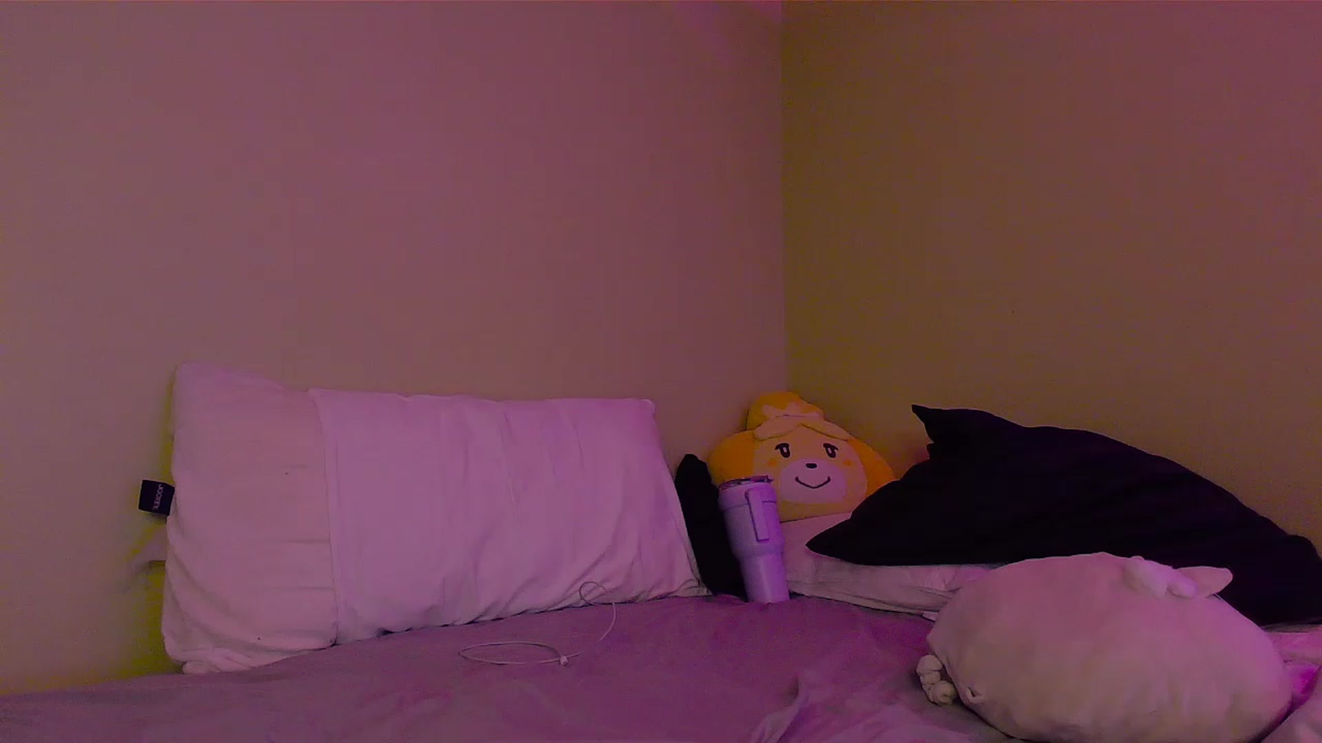 Gallery image thumbnail from BabyLula's myfreecams stream on, 08/15/2023, 04:33 image 12 of 20