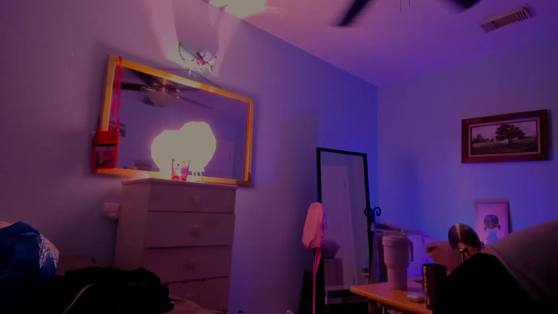 Gallery image thumbnail from BabyLula's myfreecams stream on, 07/30/2024, 03:50 image 15 of 20