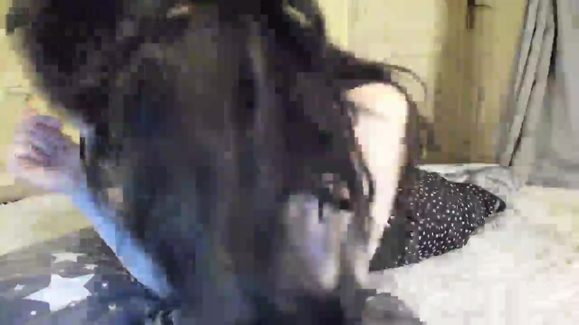 Gallery image thumbnail from Baby_Jewel's myfreecams stream on, 03/30/2025, 16:03 image 14 of 20