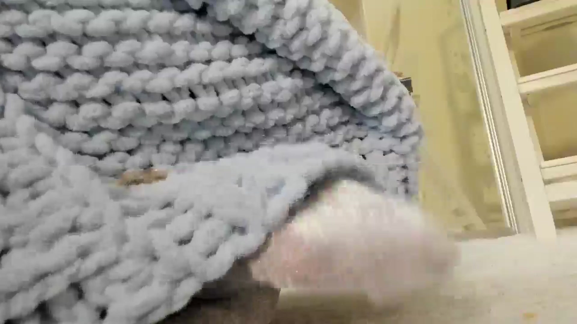 Gallery image thumbnail from Baby_Jewel's myfreecams stream on, 04/11/2025, 11:54 image 5 of 20