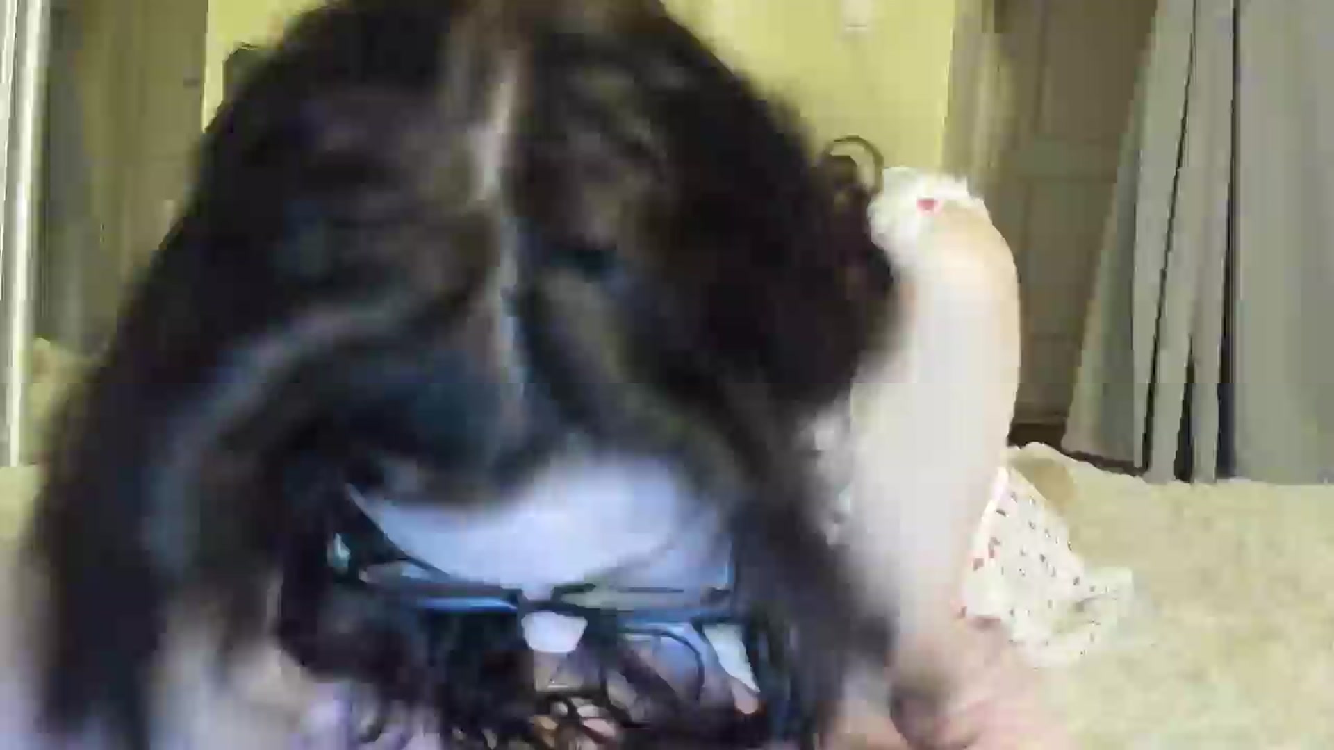Gallery image thumbnail from Baby_Jewel's myfreecams stream on, 05/20/2025, 15:43 image 10 of 20