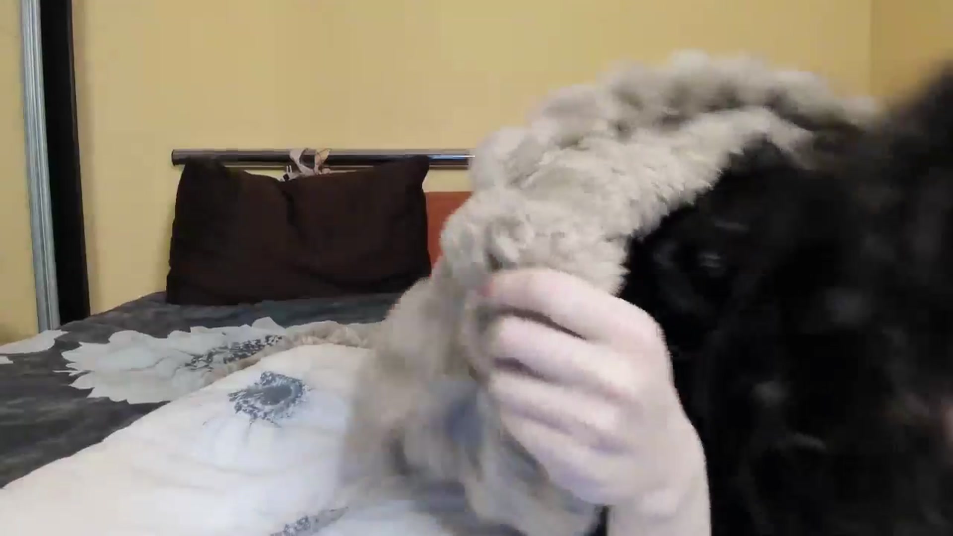 Gallery image thumbnail from Baby_Jewel's myfreecams stream on, 12/26/2025, 17:01 image 18 of 20