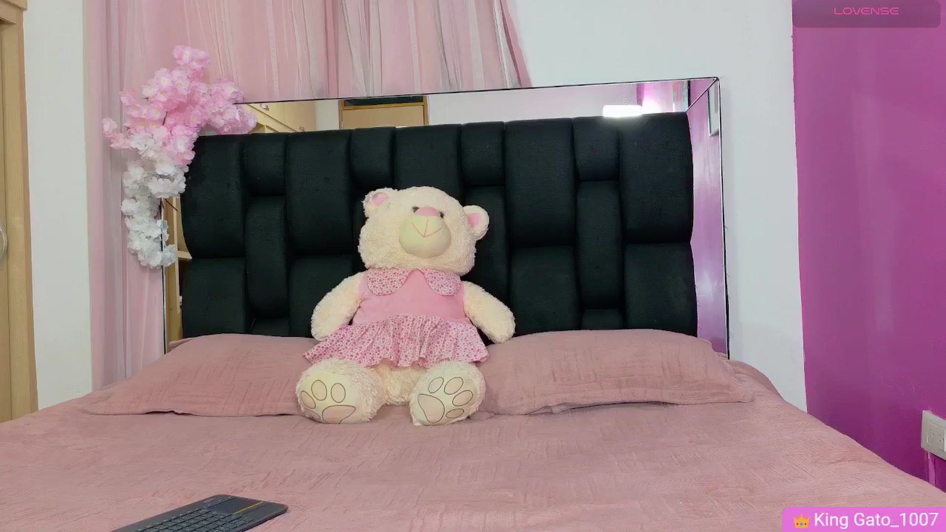 Gallery image thumbnail from Baby_Sweet01's myfreecams stream on, 02/21/2026, 21:47 image 19 of 20