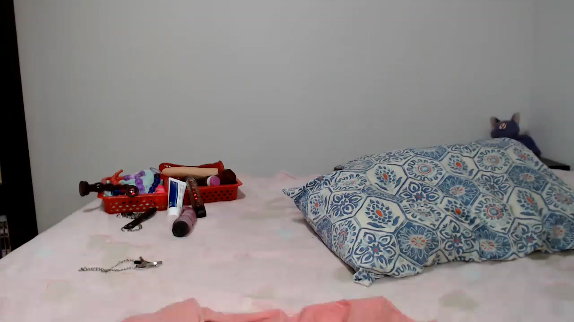 Gallery image thumbnail from BabydollLucy's myfreecams stream on, 12/21/2022, 17:37 image 20 of 20