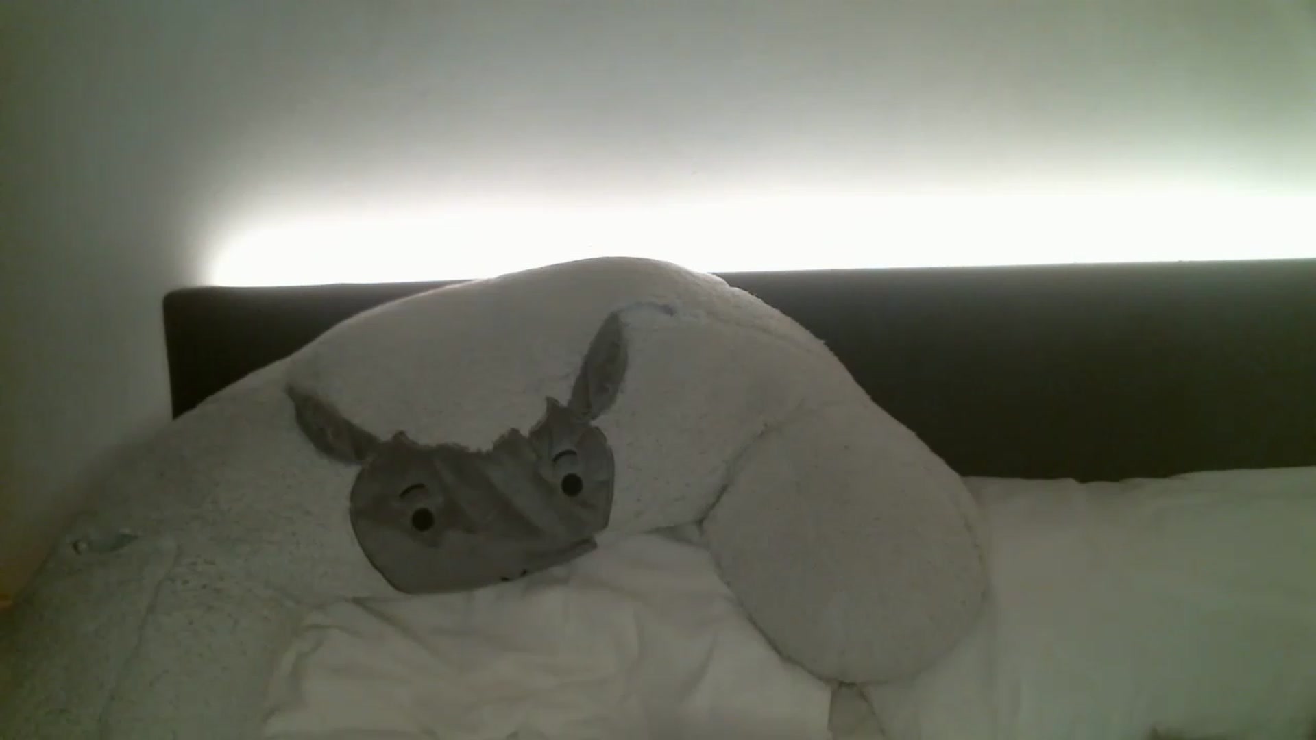 Gallery image thumbnail from Babydollxxxx2's myfreecams stream on, 01/13/2023, 22:50 image 10 of 20