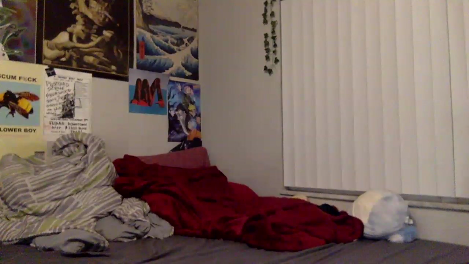 Gallery image thumbnail from Babysprite's myfreecams stream on, 11/25/2022, 06:02 image 19 of 20
