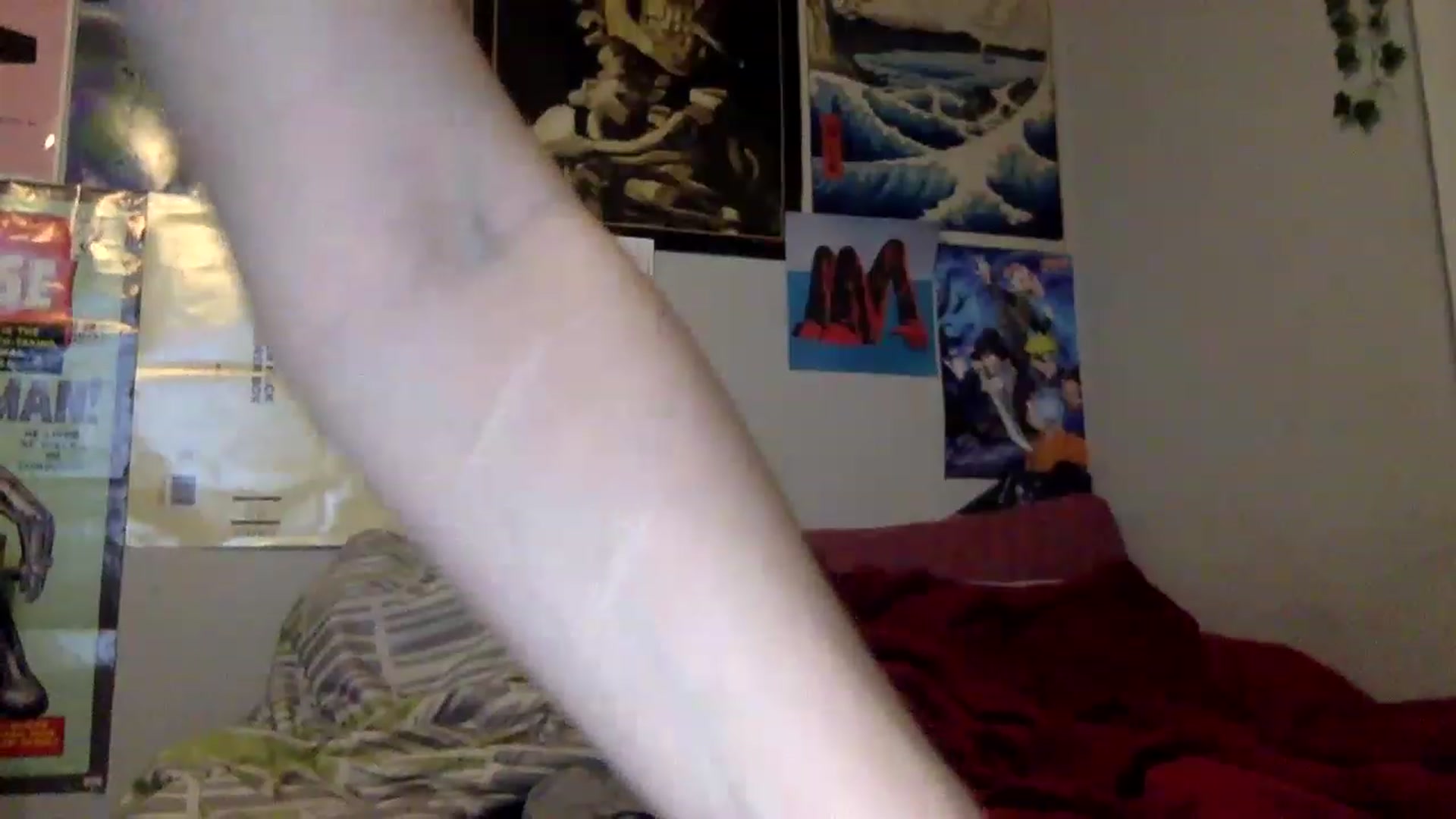 Gallery image thumbnail from Babysprite's myfreecams stream on, 11/25/2022, 06:40 image 5 of 20