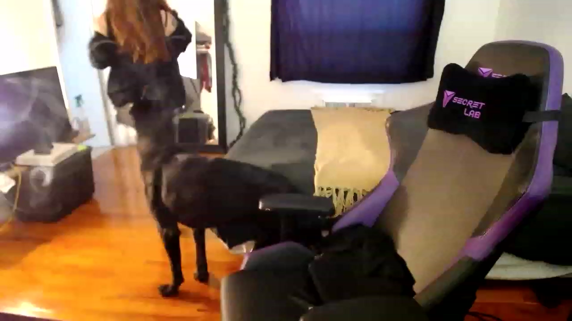Gallery image thumbnail from BabyxKat's myfreecams stream on, 01/12/2023, 20:21 image 20 of 20