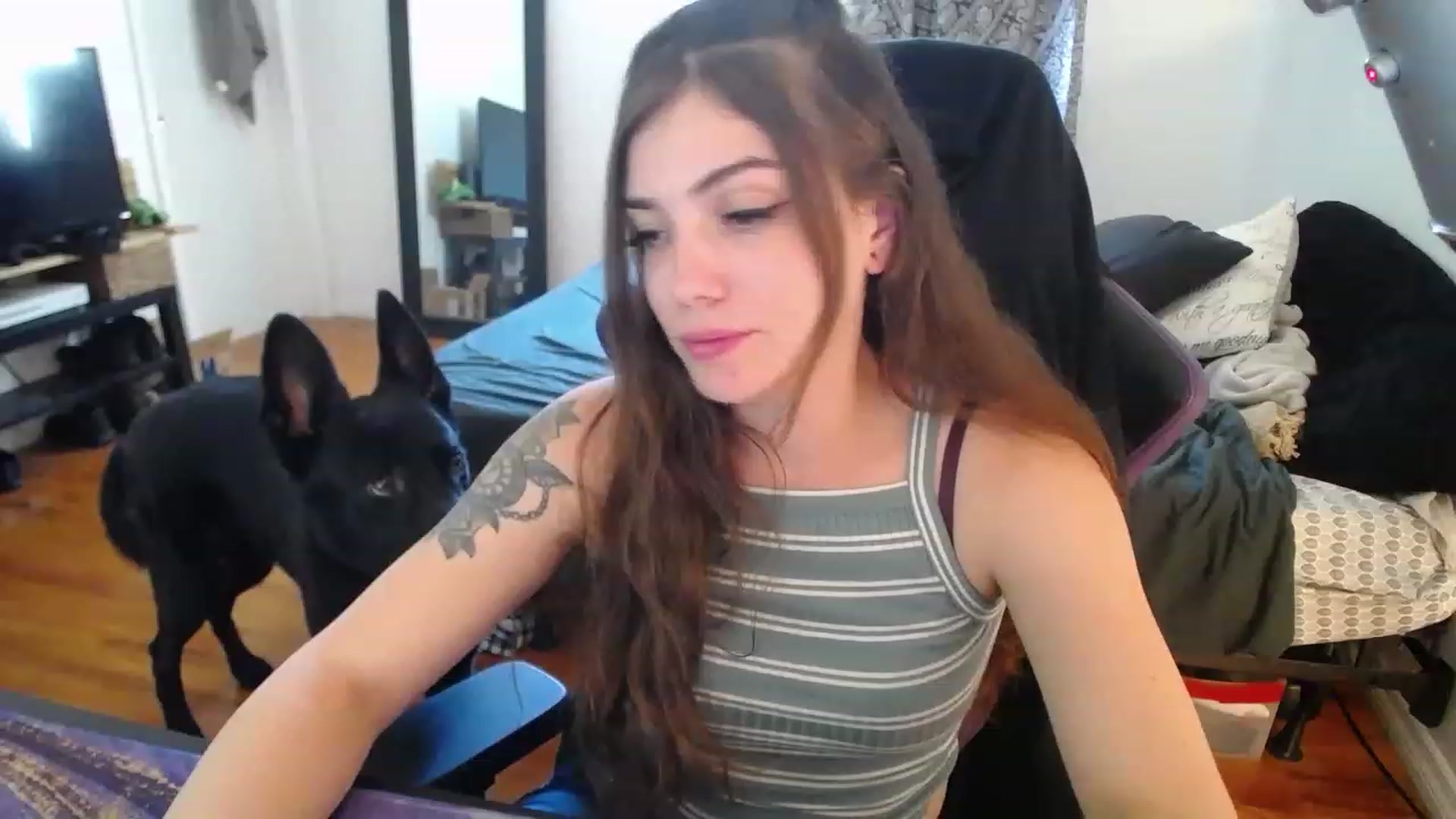 Gallery image thumbnail from BabyxKat's myfreecams stream on, 05/03/2023, 19:25 image 12 of 20