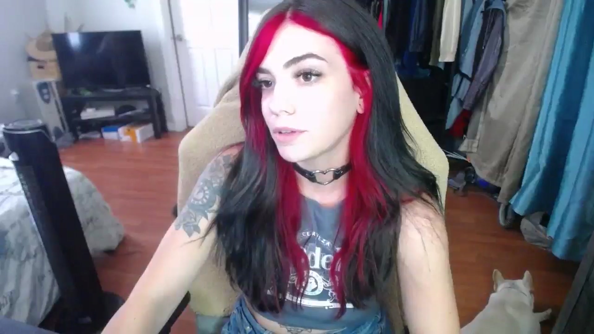 Gallery image thumbnail from BabyxKat's myfreecams stream on, 06/06/2024, 20:20 image 14 of 20