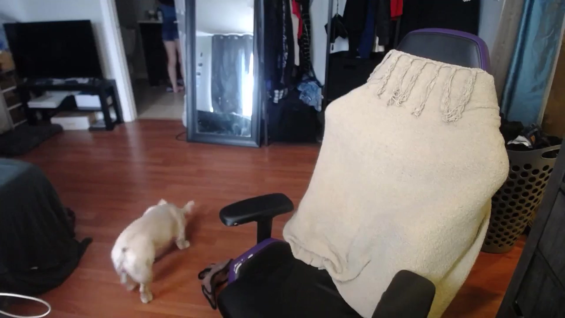 Gallery image thumbnail from BabyxKat's myfreecams stream on, 07/08/2024, 18:54 image 3 of 20