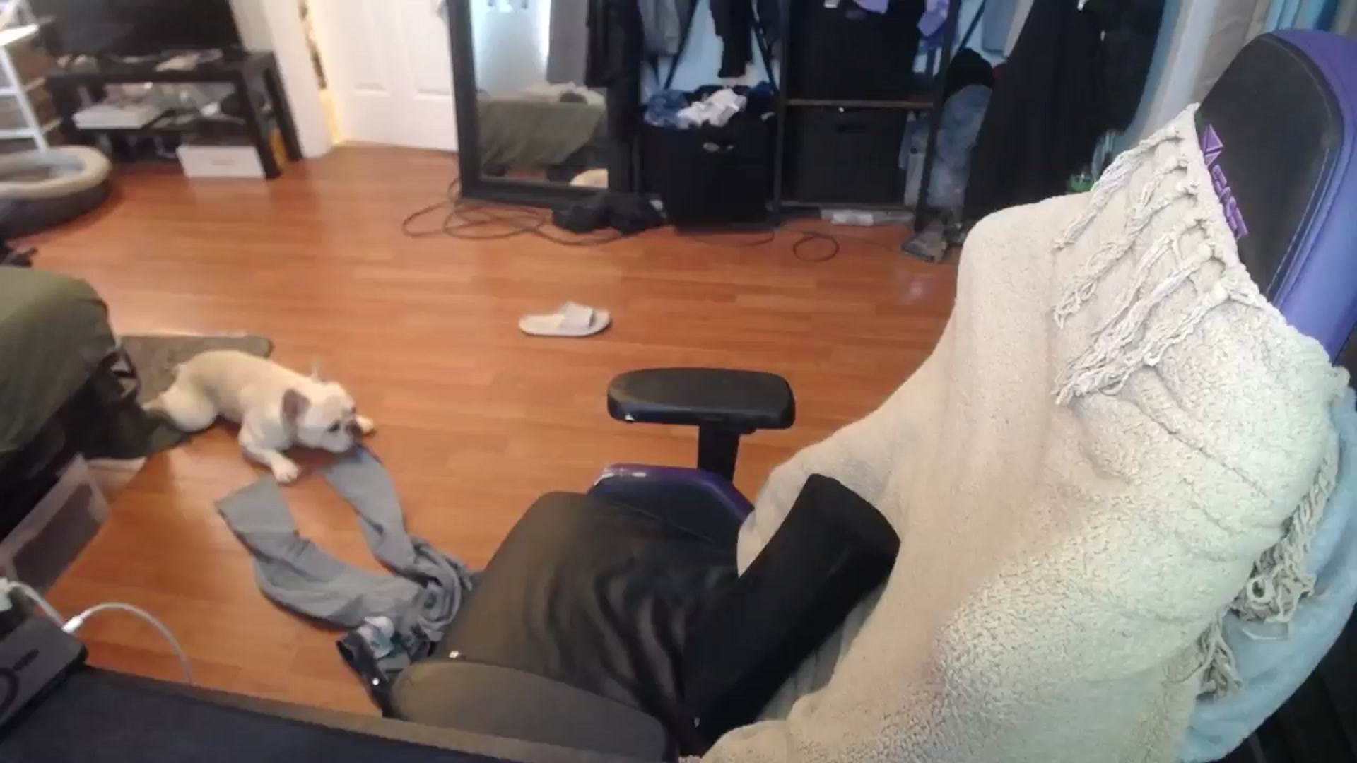 Gallery image thumbnail from BabyxKat's myfreecams stream on, 08/13/2024, 19:48 image 17 of 20