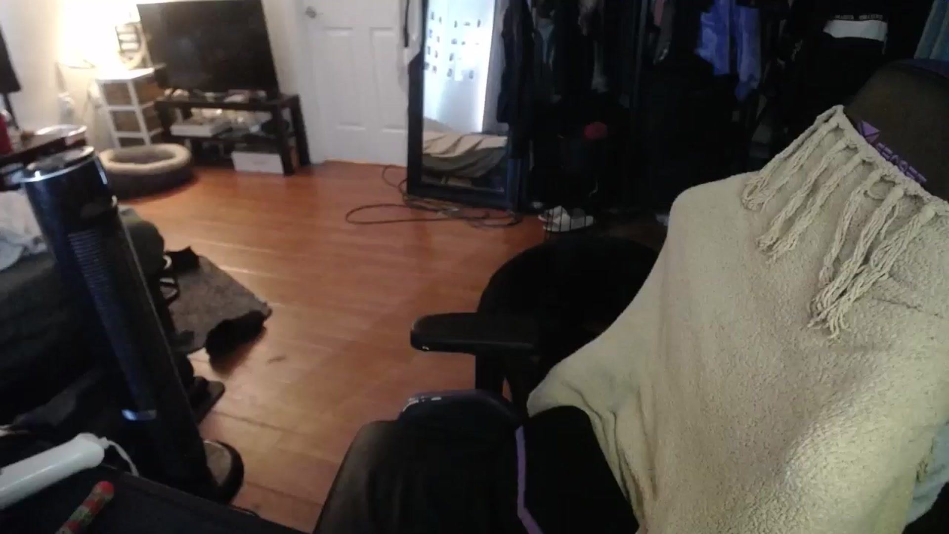 Gallery image thumbnail from BabyxKat's myfreecams stream on, 08/16/2024, 21:41 image 19 of 20