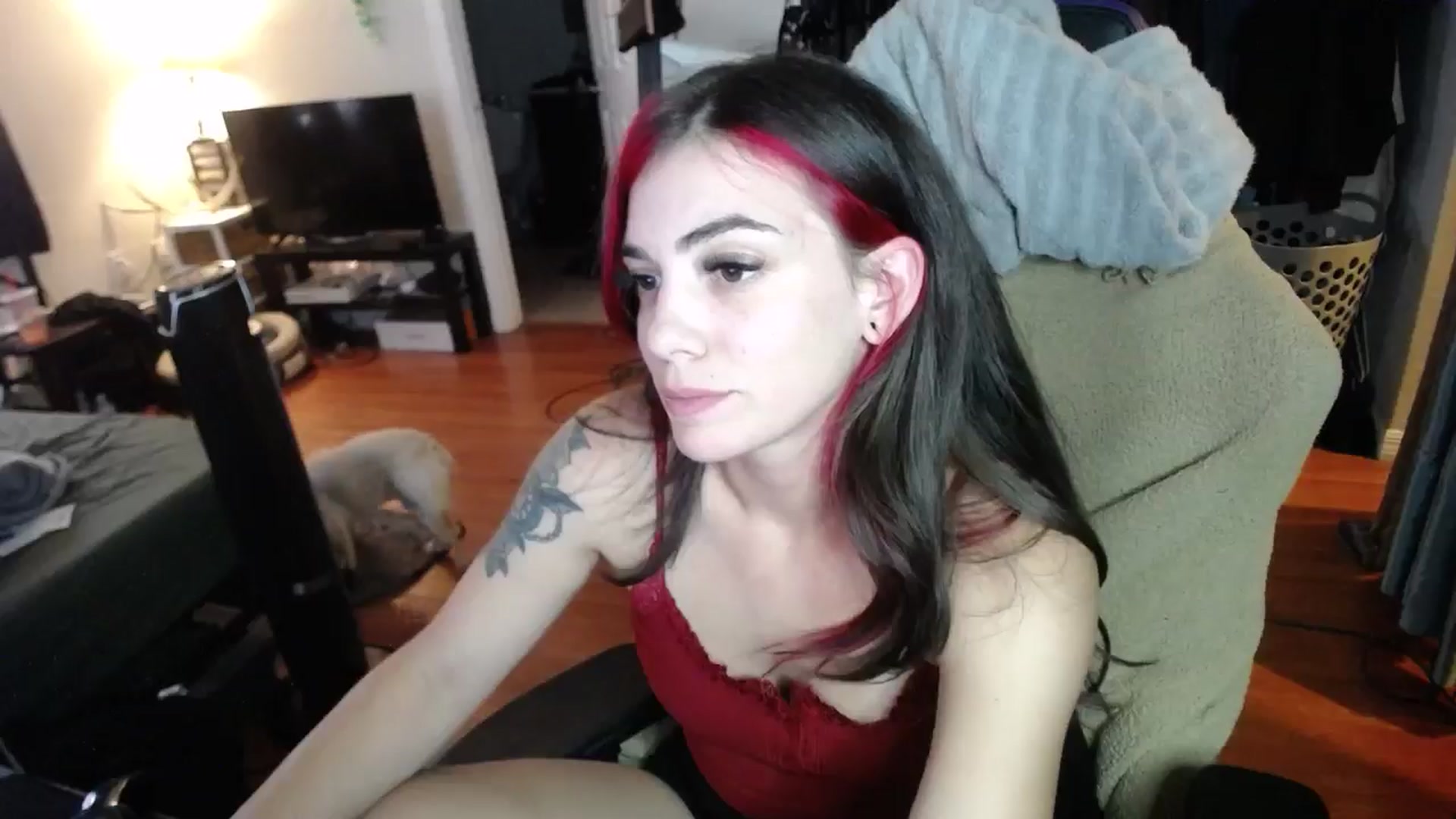 Gallery image thumbnail from BabyxKat's myfreecams stream on, 08/23/2024, 20:08 image 3 of 20
