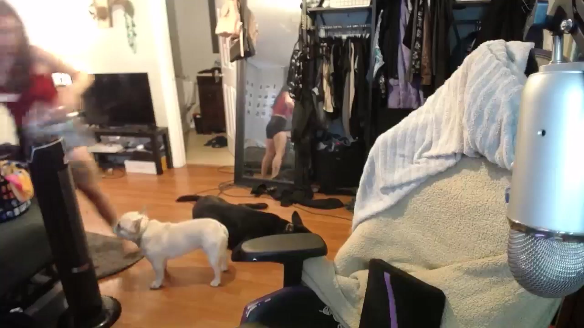 Gallery image thumbnail from BabyxKat's myfreecams stream on, 08/23/2024, 20:08 image 18 of 20