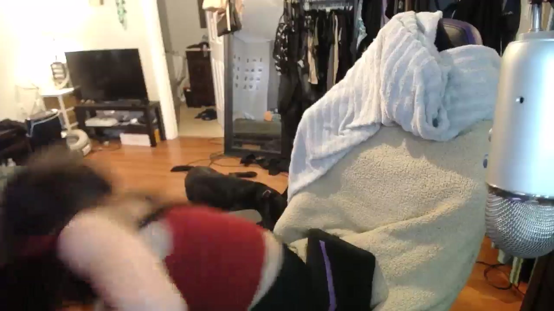 Gallery image thumbnail from BabyxKat's myfreecams stream on, 08/23/2024, 20:08 image 19 of 20