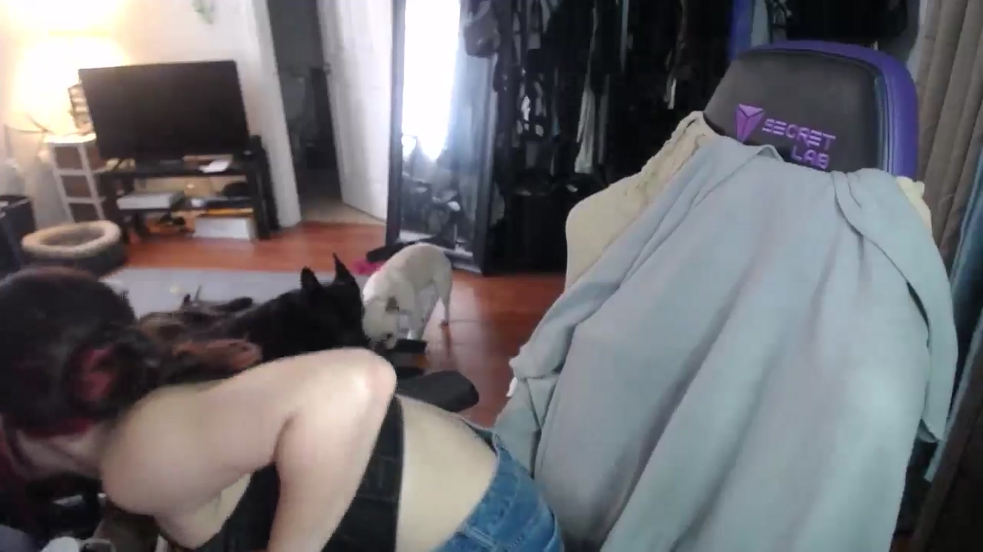 Gallery image thumbnail from BabyxKat's myfreecams stream on, 09/13/2024, 20:47 image 19 of 20