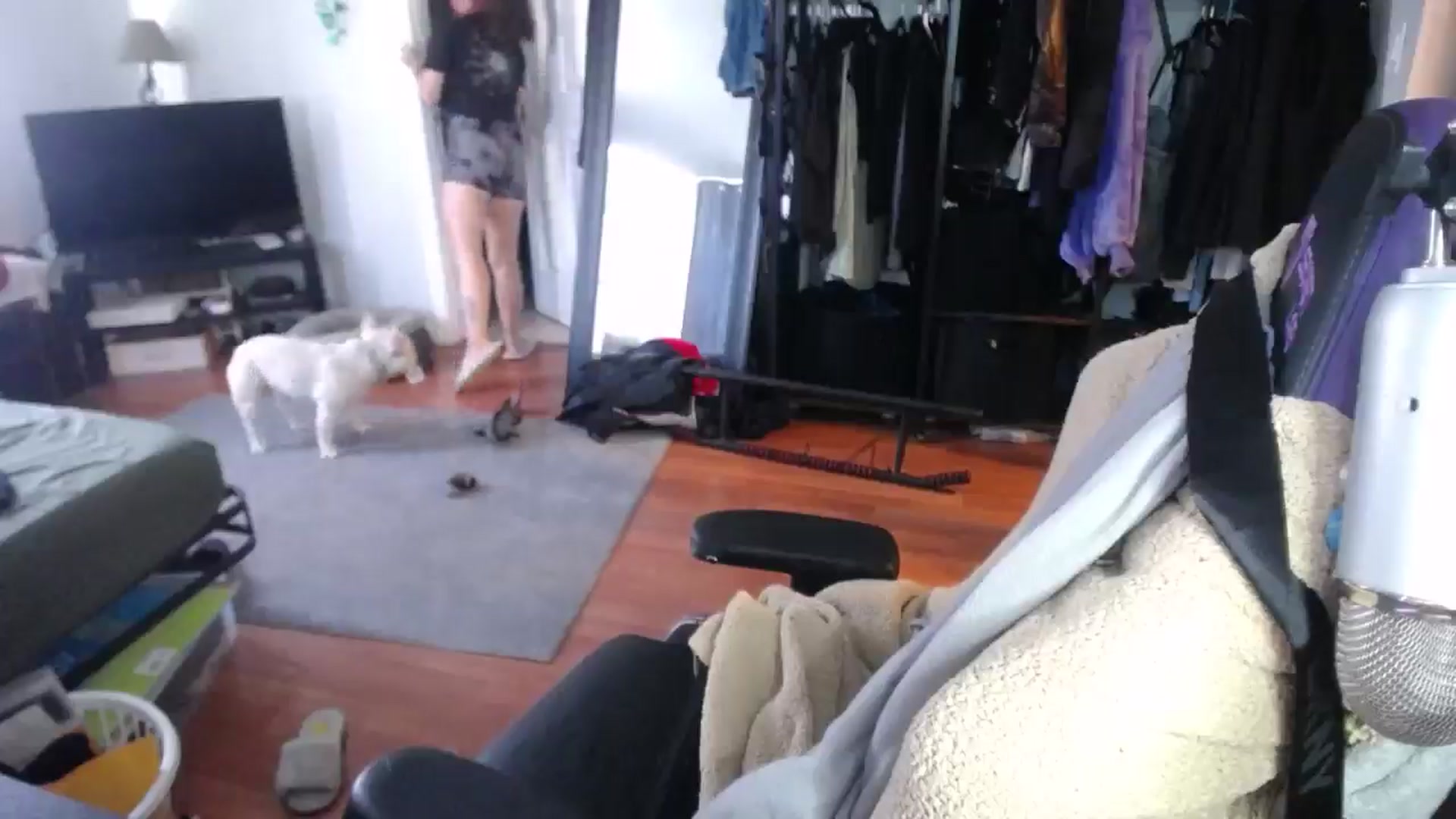 Gallery image thumbnail from BabyxKat's myfreecams stream on, 09/18/2024, 20:13 image 8 of 20