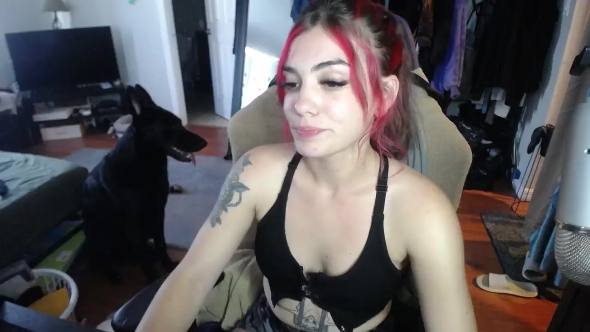 Gallery image thumbnail from BabyxKat's myfreecams stream on, 09/18/2024, 20:13 image 13 of 20