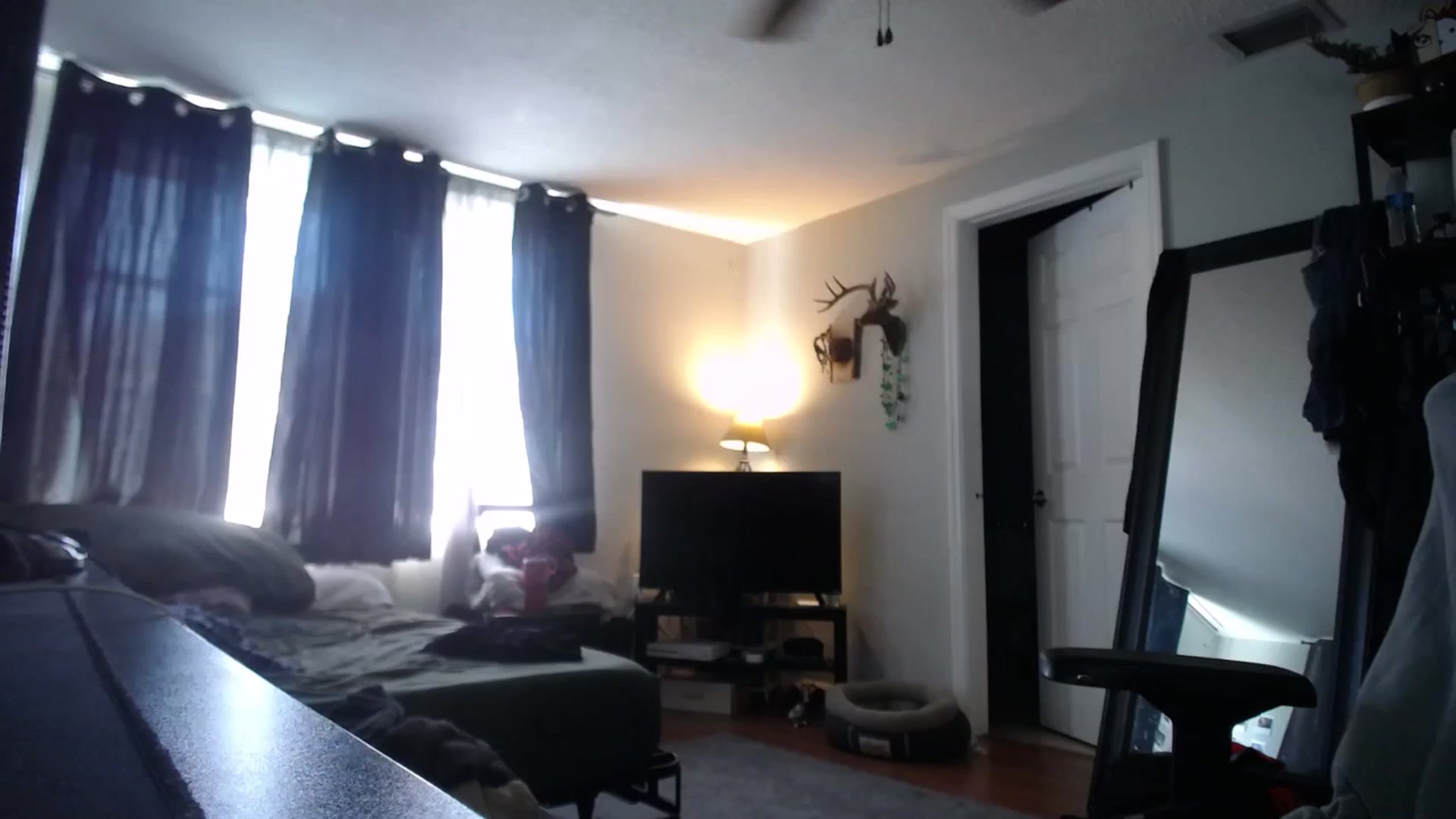 Gallery image thumbnail from BabyxKat's myfreecams stream on, 09/19/2024, 19:37 image 7 of 20