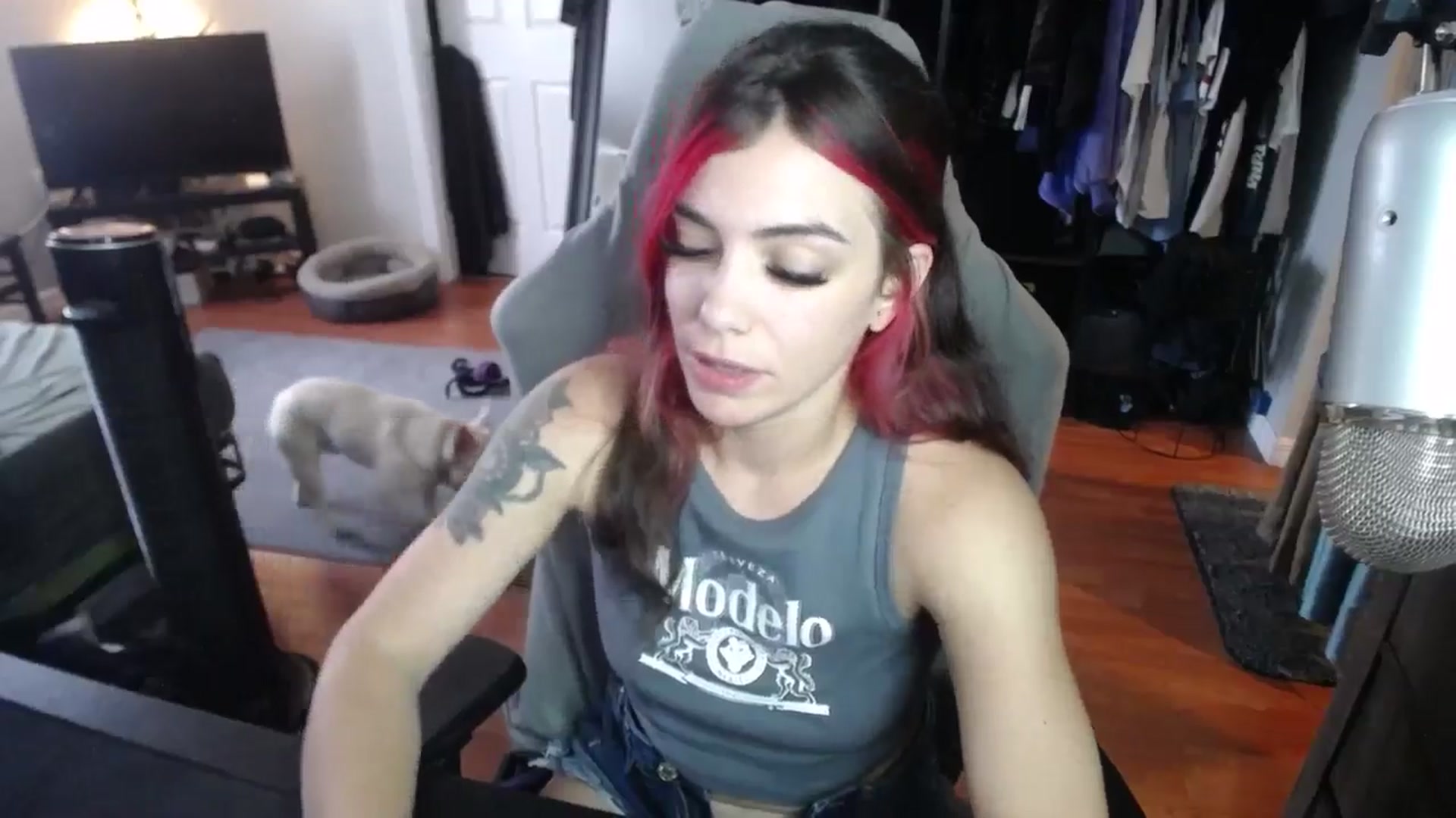 Gallery image thumbnail from BabyxKat's myfreecams stream on, 09/23/2024, 21:29 image 16 of 20