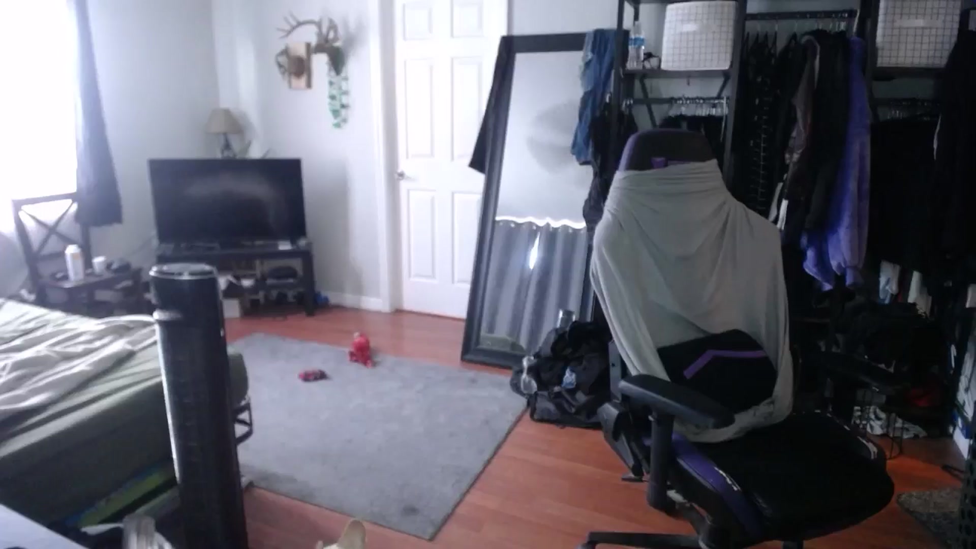Gallery image thumbnail from BabyxKat's myfreecams stream on, 10/03/2024, 20:32 image 16 of 20
