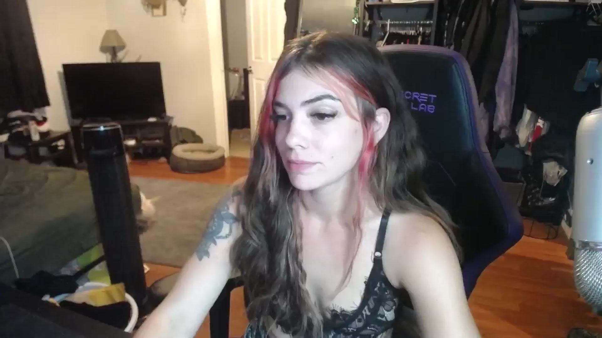 Gallery image thumbnail from BabyxKat's myfreecams stream on, 10/15/2024, 19:41 image 20 of 20