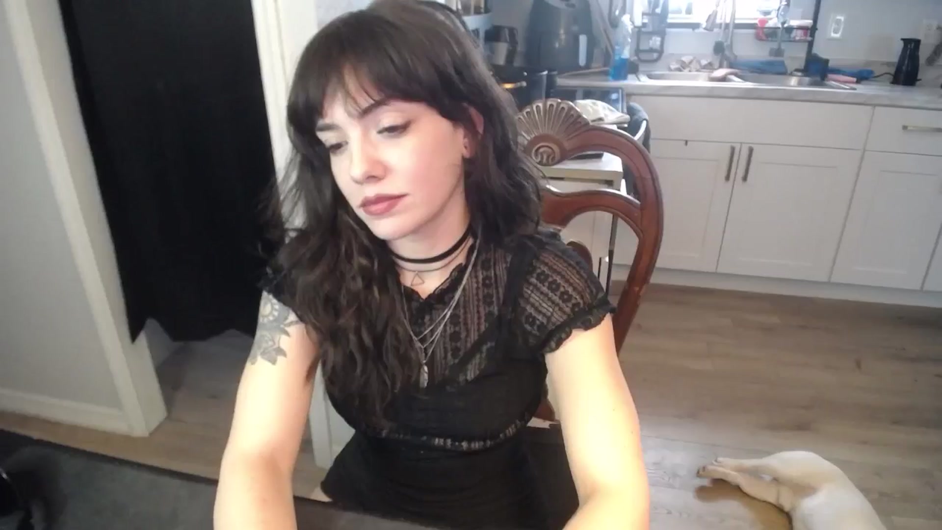 Gallery image thumbnail from BabyxKat's myfreecams stream on, 05/11/2025, 21:47 image 12 of 20