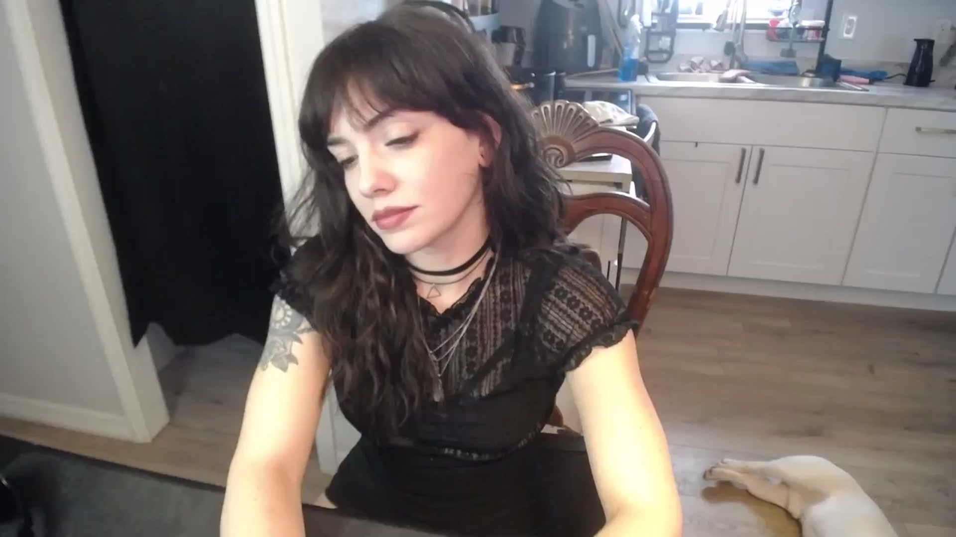 Gallery image thumbnail from BabyxKat's myfreecams stream on, 05/11/2025, 21:47 image 13 of 20