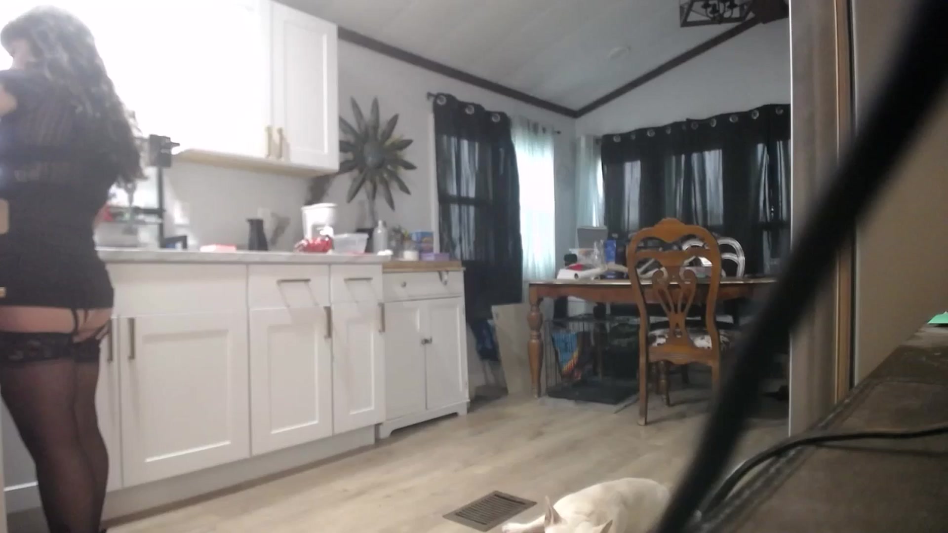 Gallery image thumbnail from BabyxKat's myfreecams stream on, 05/11/2025, 22:27 image 18 of 20