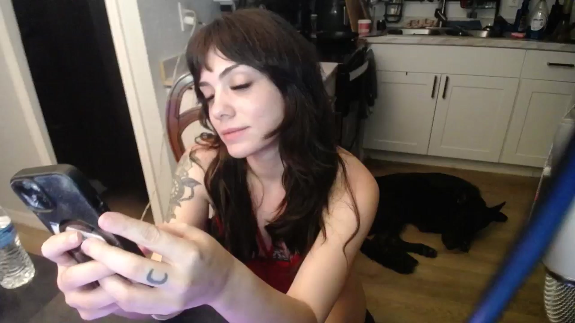 Gallery image thumbnail from BabyxKat's myfreecams stream on, 05/17/2025, 02:12 image 12 of 20
