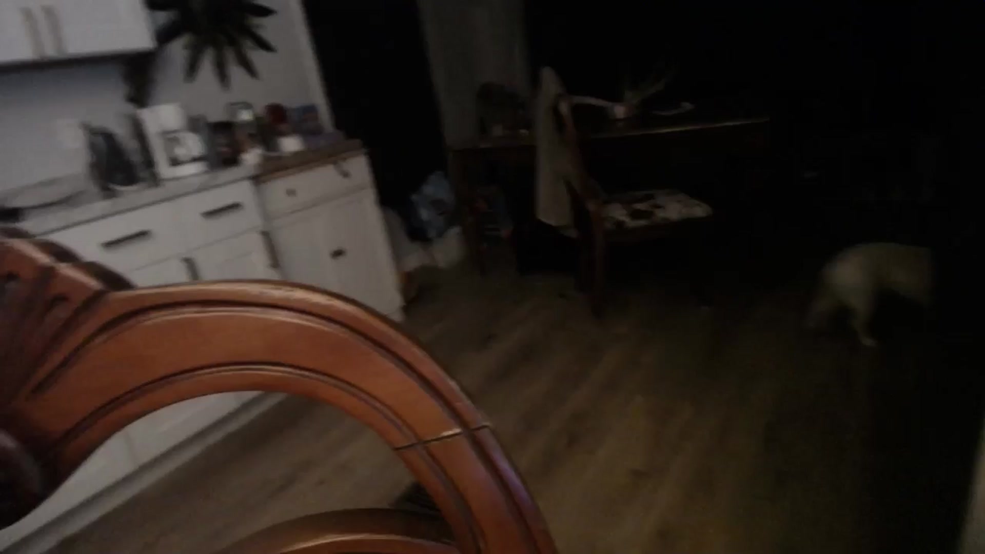 Gallery image thumbnail from BabyxKat's myfreecams stream on, 05/18/2025, 01:24 image 10 of 20