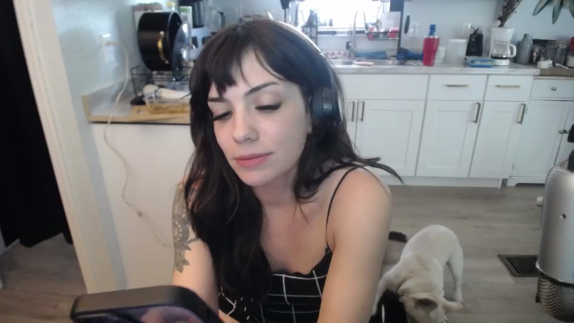 Gallery image thumbnail from BabyxKat's myfreecams stream on, 05/19/2025, 21:49 image 7 of 20