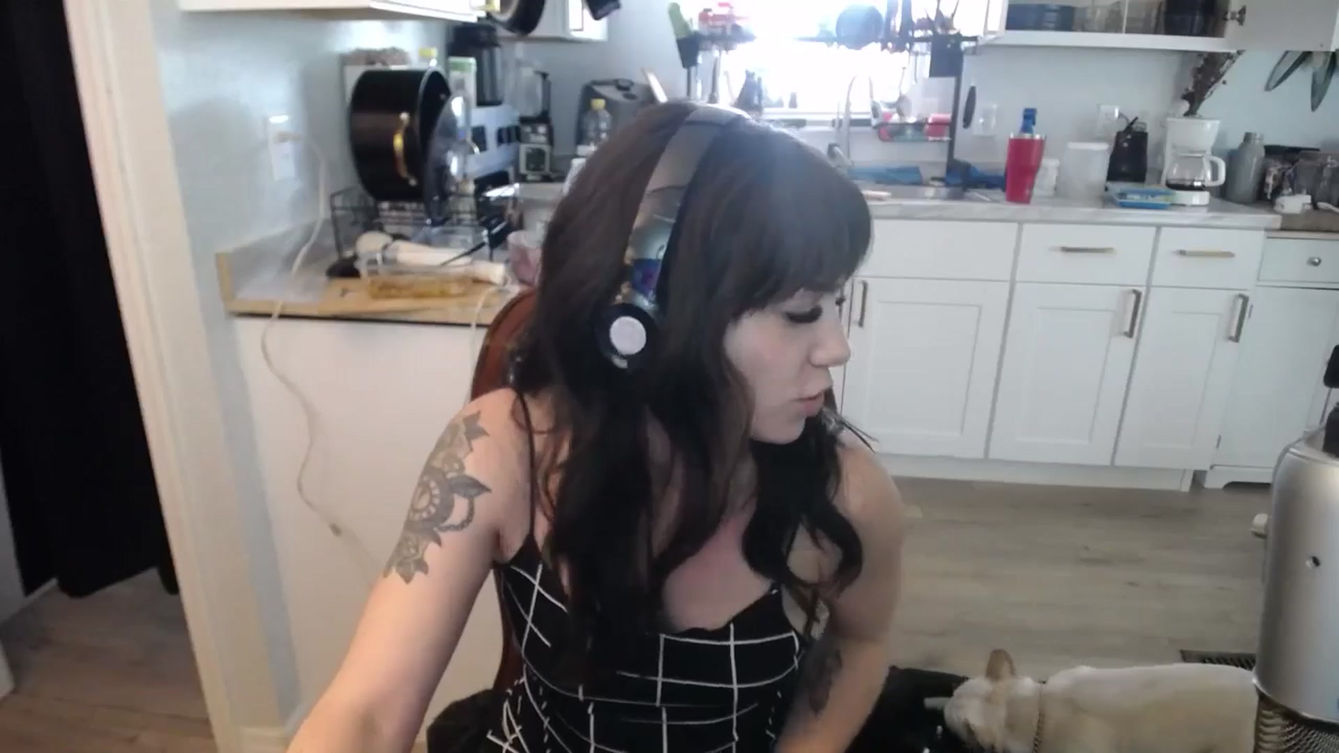 Gallery image thumbnail from BabyxKat's myfreecams stream on, 05/19/2025, 21:49 image 12 of 20