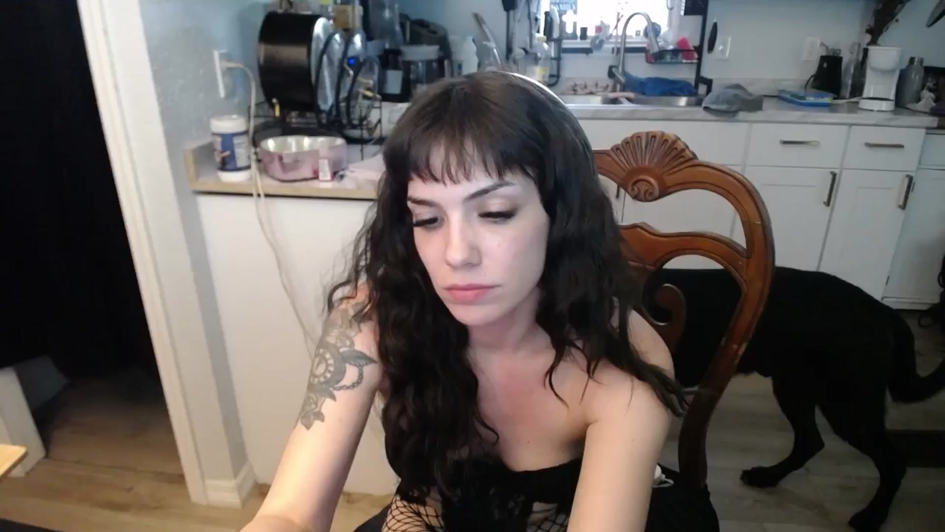 Gallery image thumbnail from BabyxKat's myfreecams stream on, 05/27/2025, 24:41 image 1 of 20